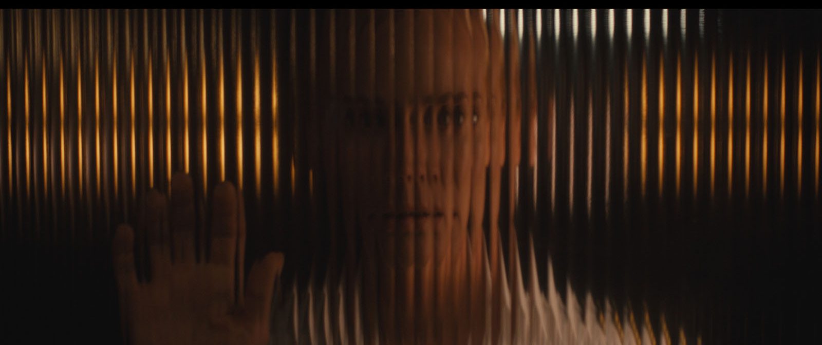 un buste de femme vu à travers un écran déformant, découpant l'image en stries verticales