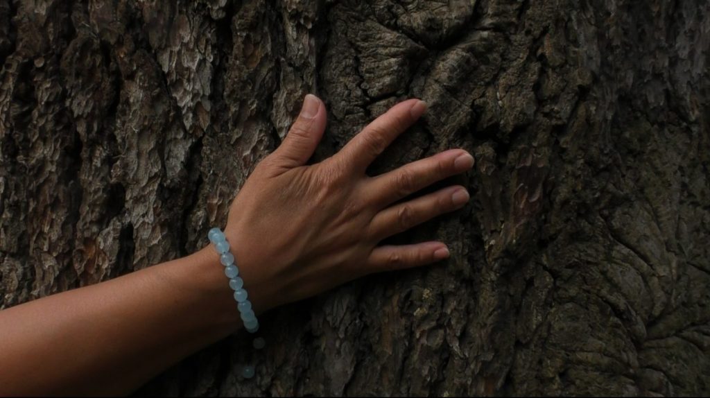 Une main qui caresse un arbre.