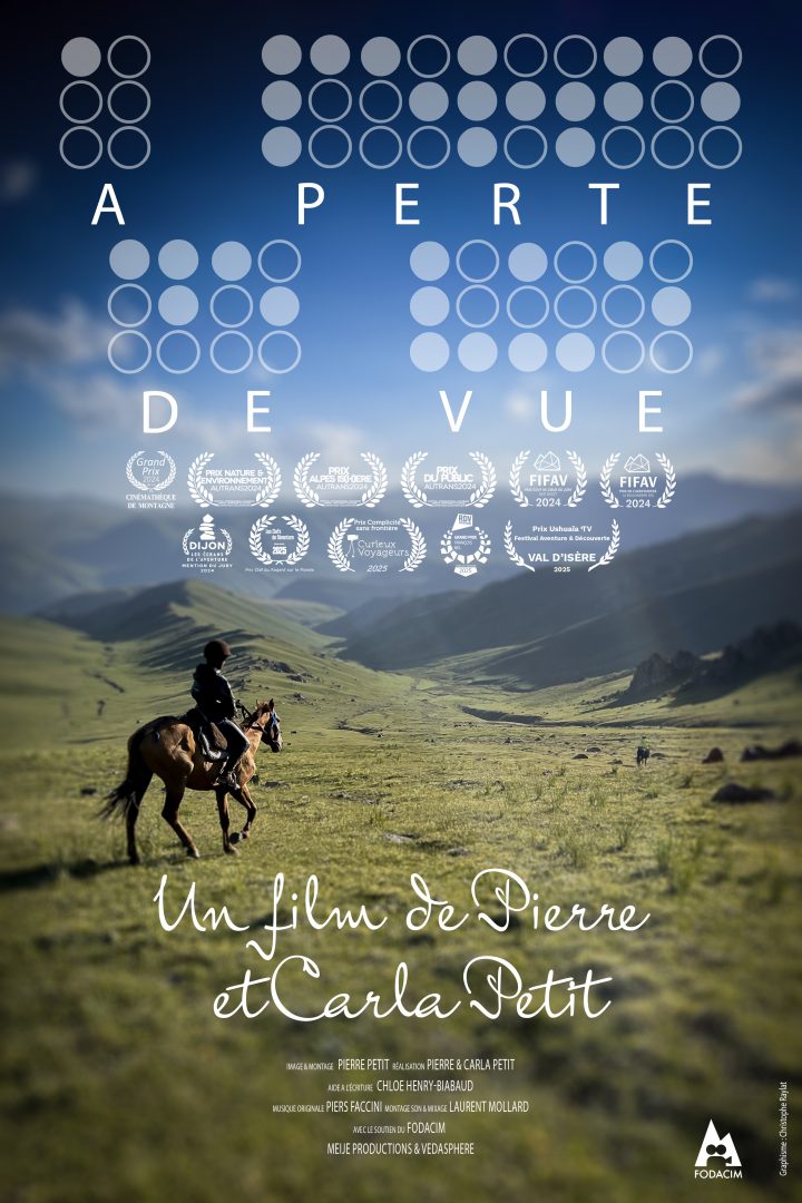 affiche de A PERTE DE VUE