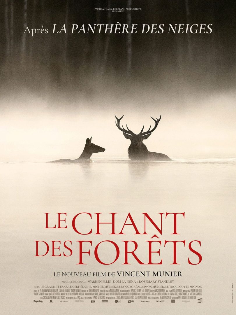 Affiche du film le chant des forêts